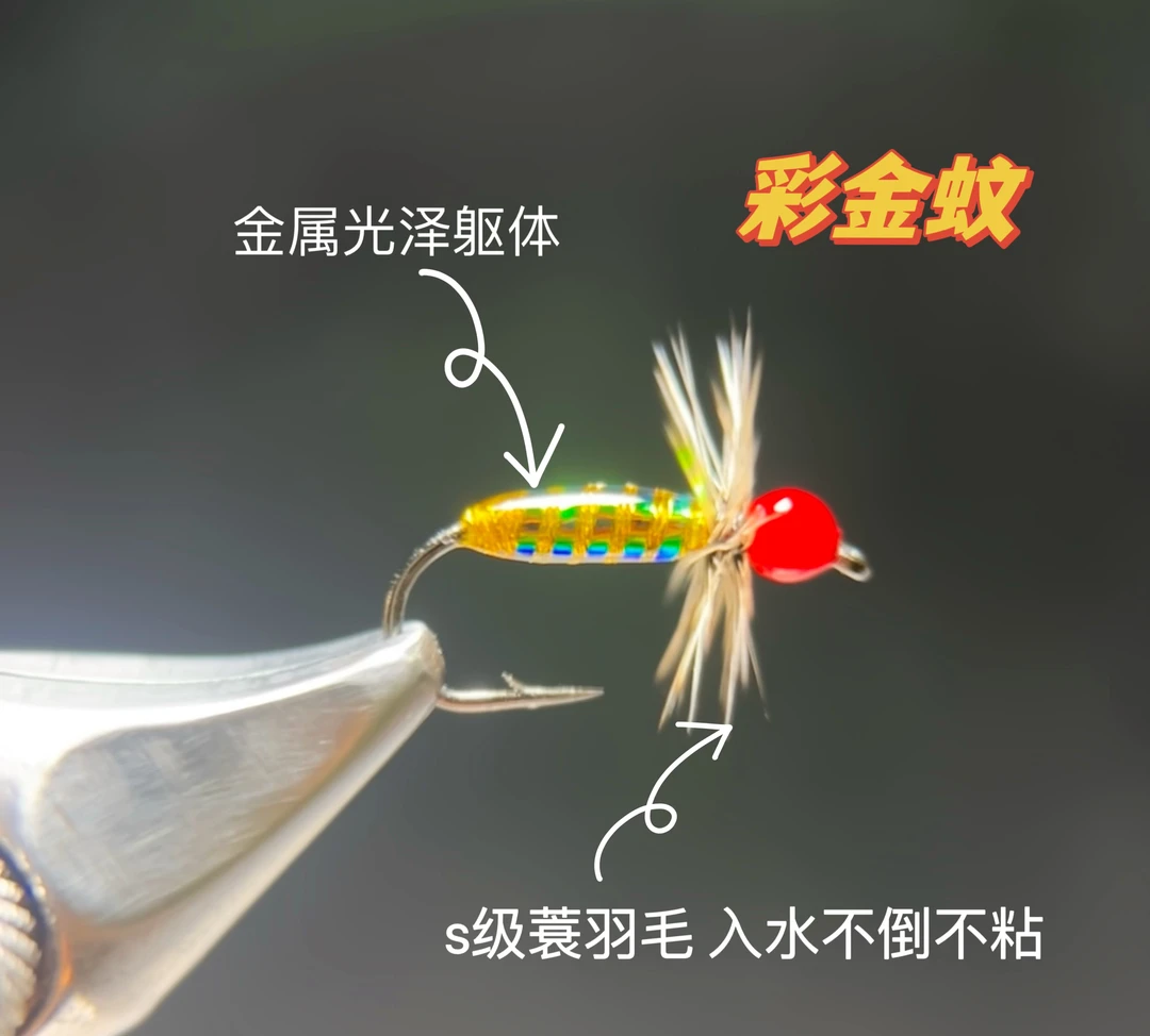 S级蓑羽 10枚装彩金蚊飞蝇钩 马口 溪哥 雅罗 满十赠一