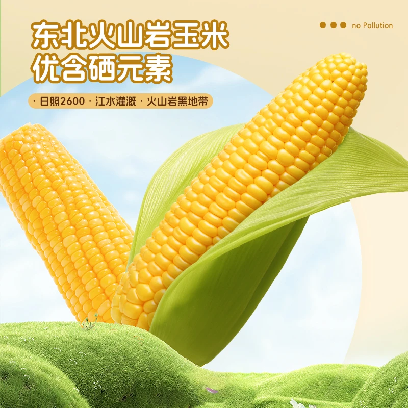 牧笛东北火山岩硒玉米甜糯鲜食220g乘10穗健康营养软糯香甜整箱
