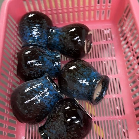 6个····全是福利····