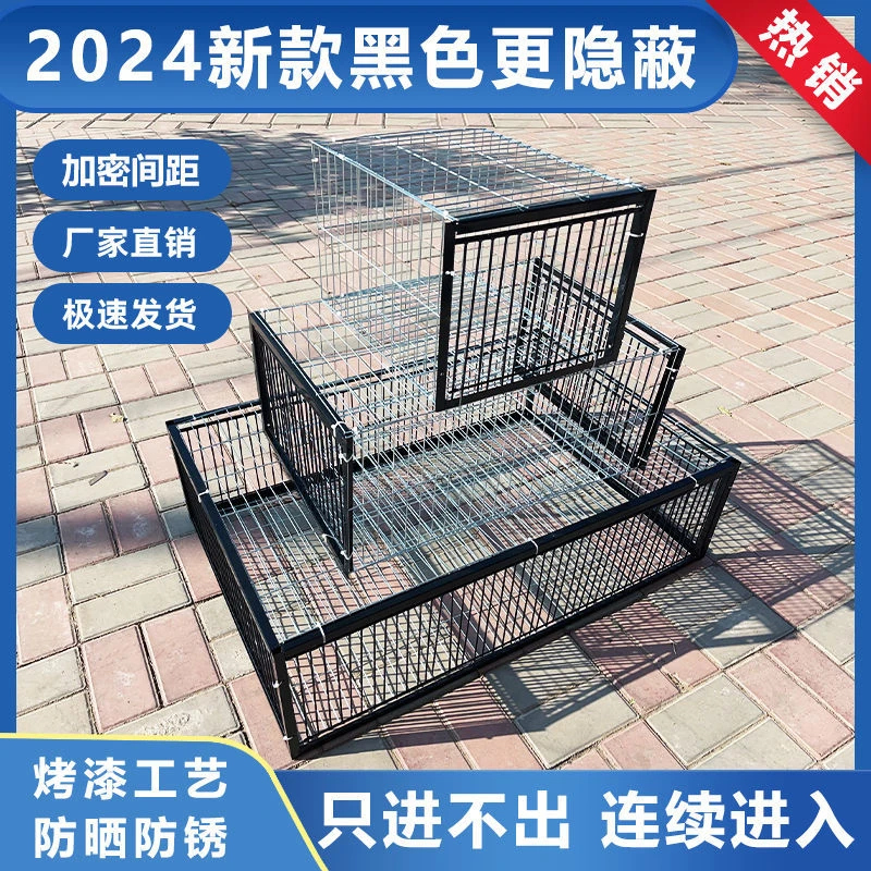 天落笼户外家用屋顶只进不出鸽子笼活络撞门信鸽