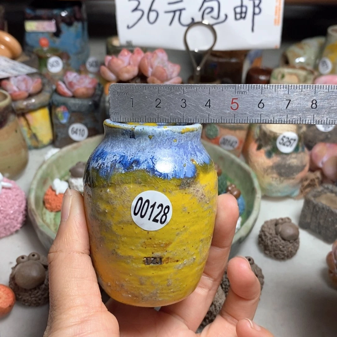 拍5送一个小礼物