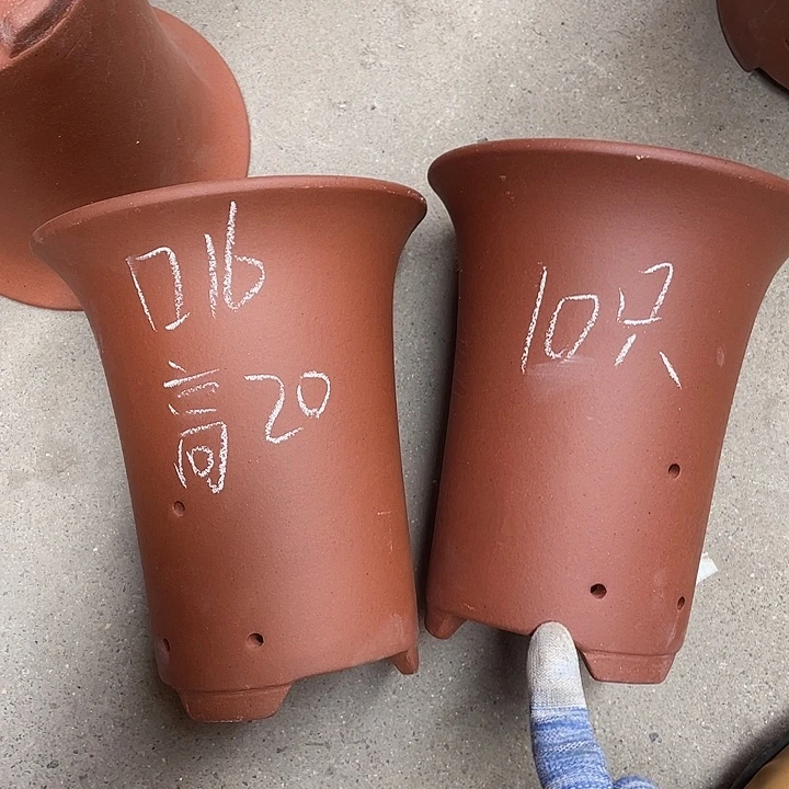 红陶紫砂紫砂紫砂