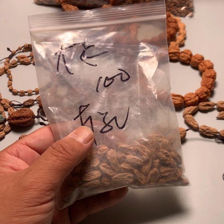 寒***栗吊坠桃核野生精品小核桃散籽