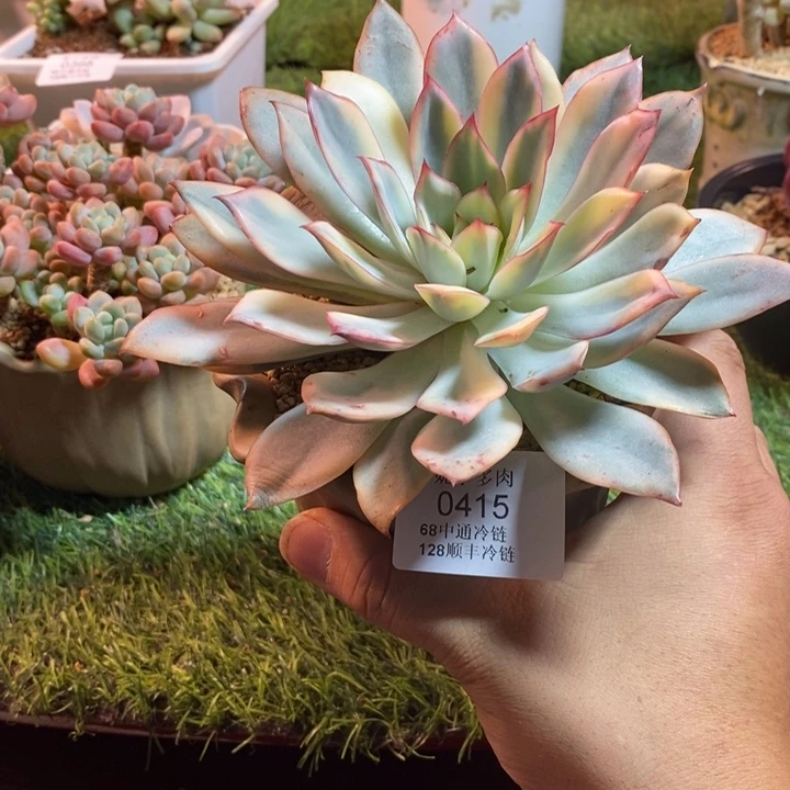 0415啊啊啊啊啊啊啊啊啊啊