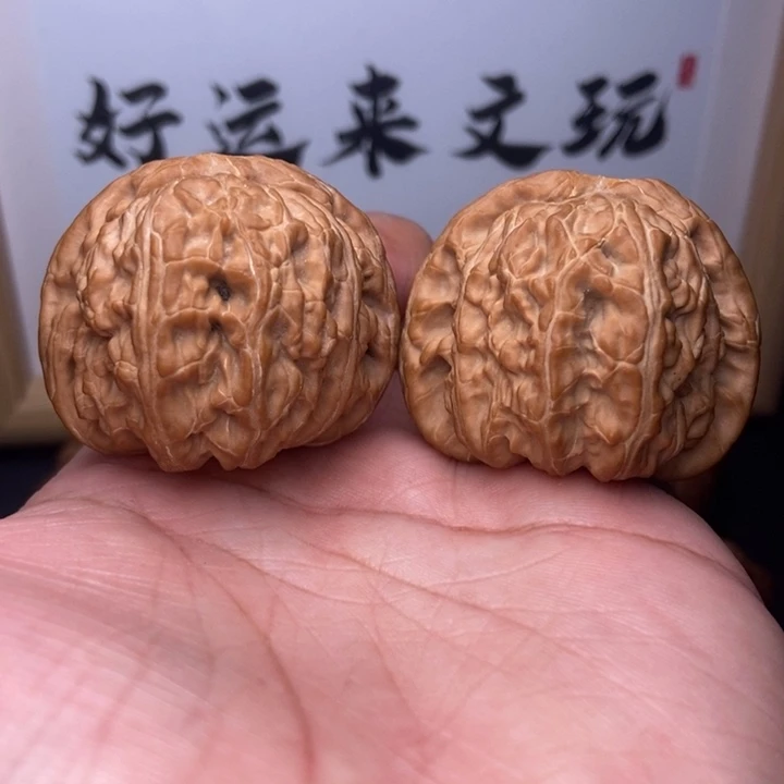 核桃小尺寸白狮子