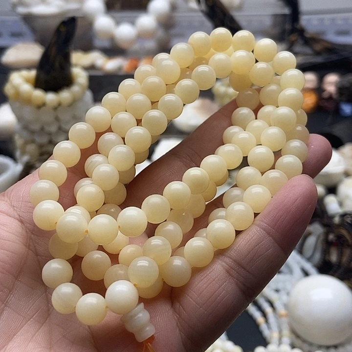 非金属贝壳贝雅轩工艺品全黄全品0.8多圈