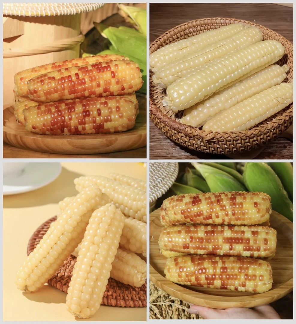 【花糯玉米+白糯拇指玉米组合】西双版纳傣家老品种小玉米新鲜采摘