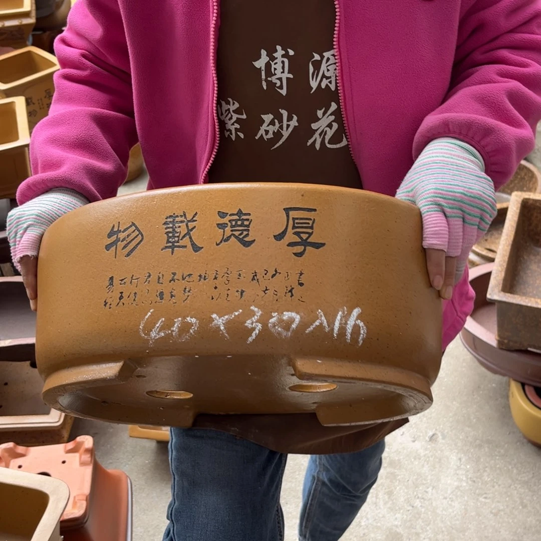 花盆紫砂盆景艺术