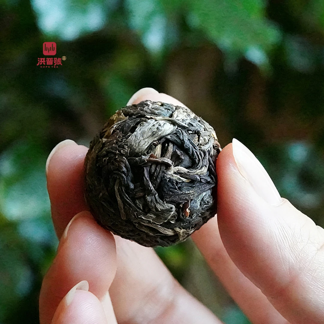 洪普号2024年春茶【孤独二类】古树茶纯料生茶龙珠
