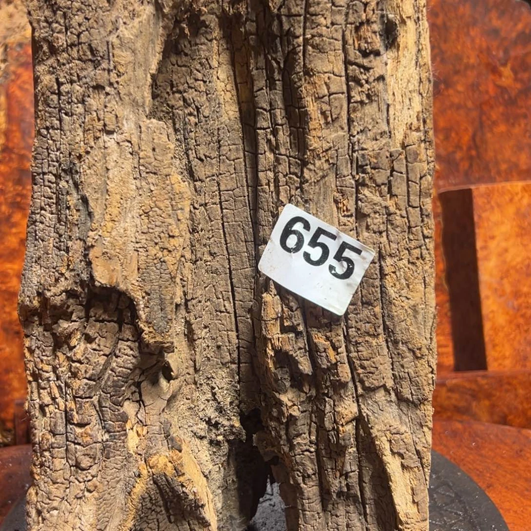 大果紫檀（缅甸花梨）