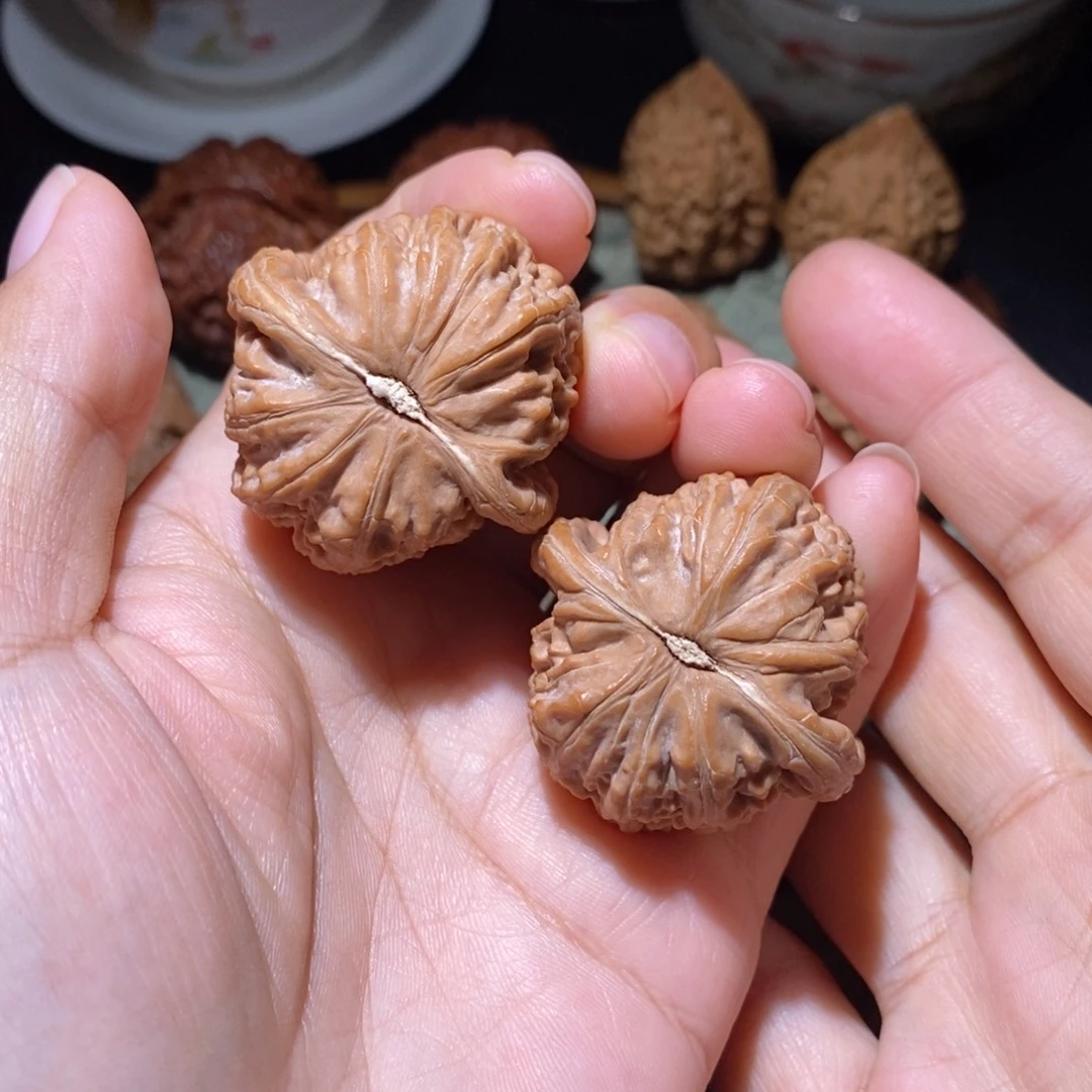 把件文玩核桃37白狮子