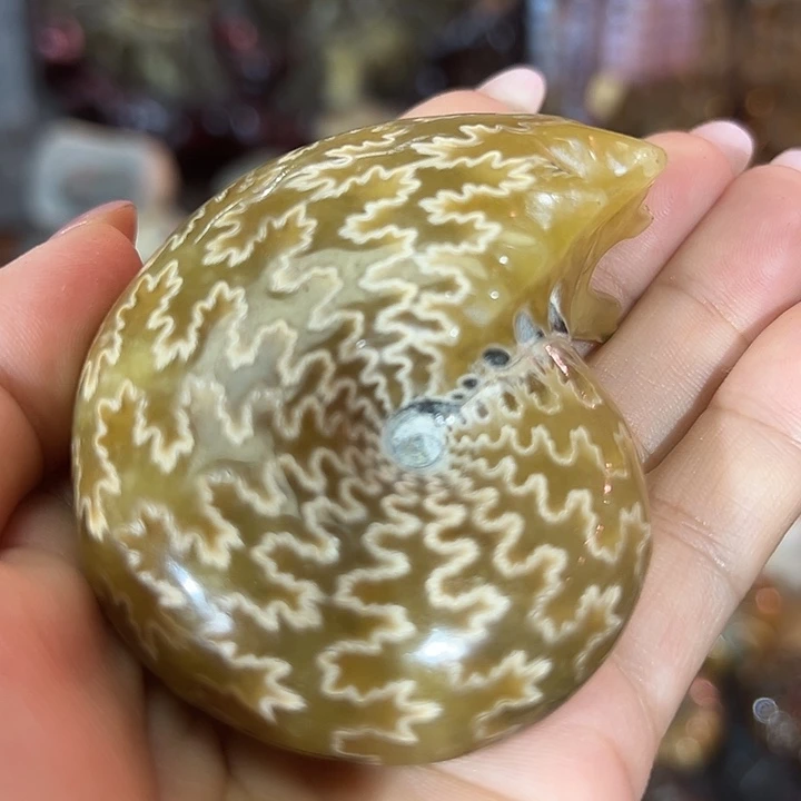 王***涛石材家居装饰摆件螺