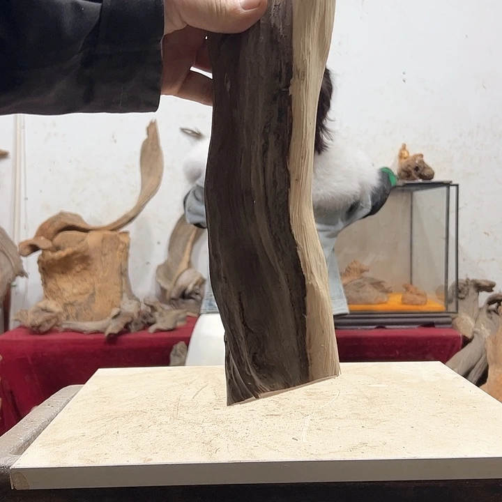 柏木王*良我们的生活也
