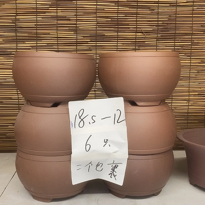 紫砂花盆我在外面