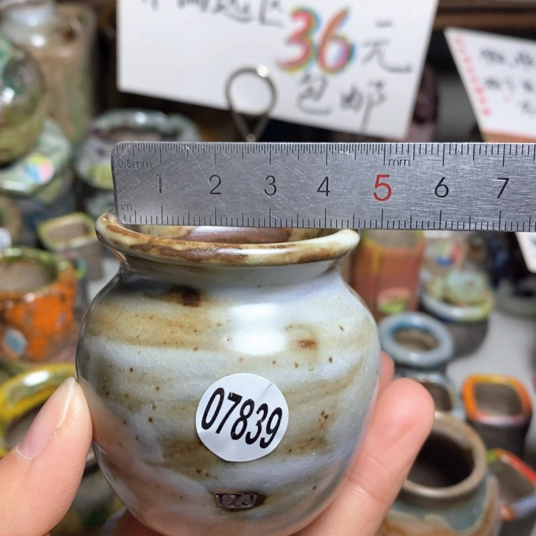 花盆拍5送一个小礼物