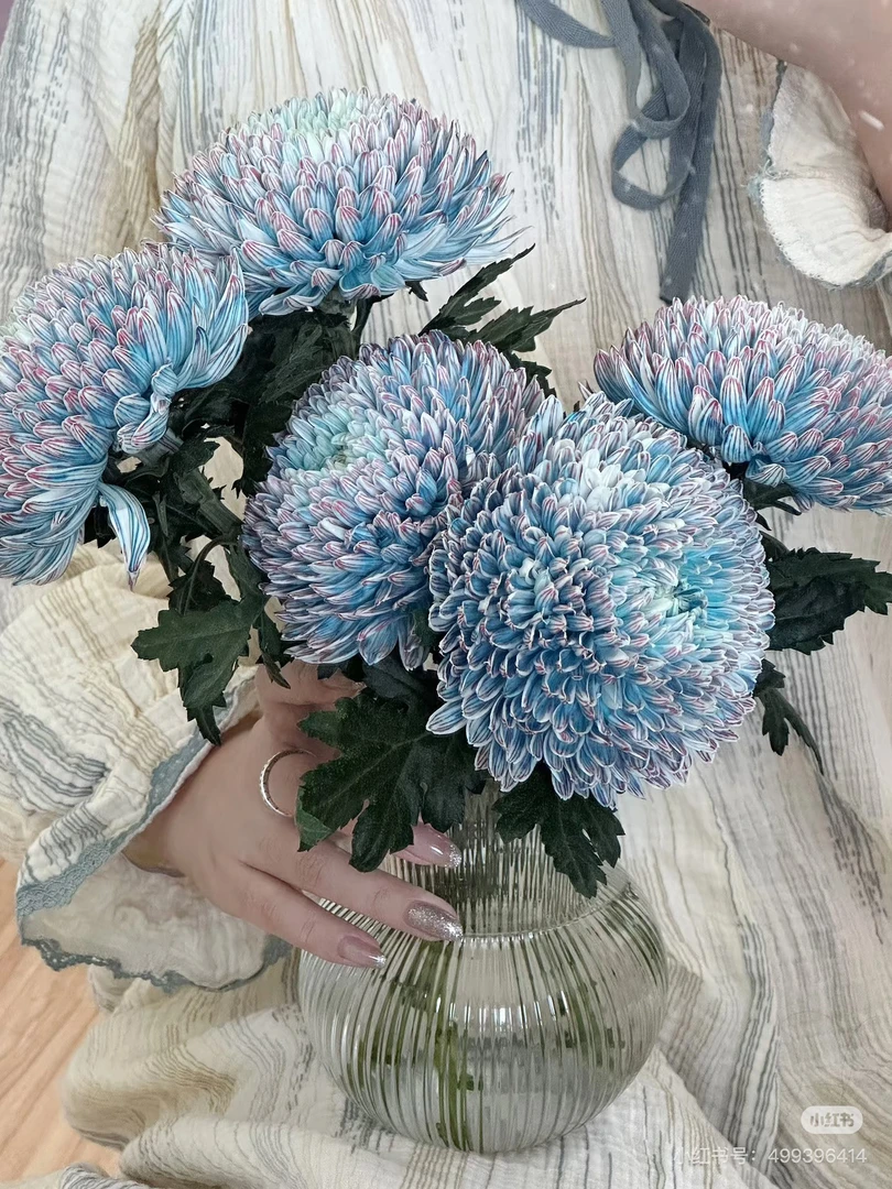 青花瓷牡丹路5支