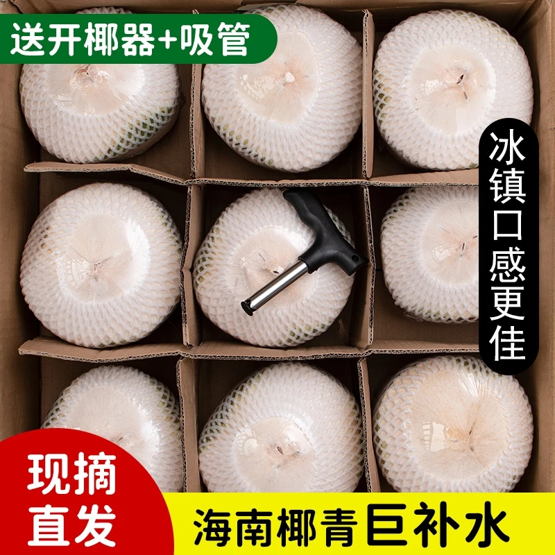 【海南航空】海南去皮椰青超大果整箱装椰子孕妇补羊水当季新鲜水果