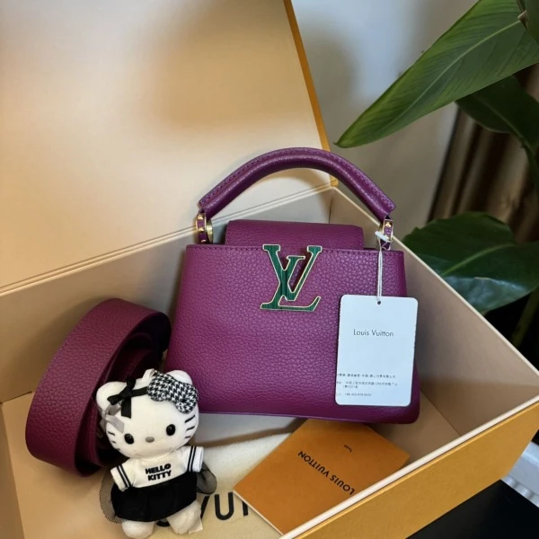 95新/包包/路易威登/250610SW0006