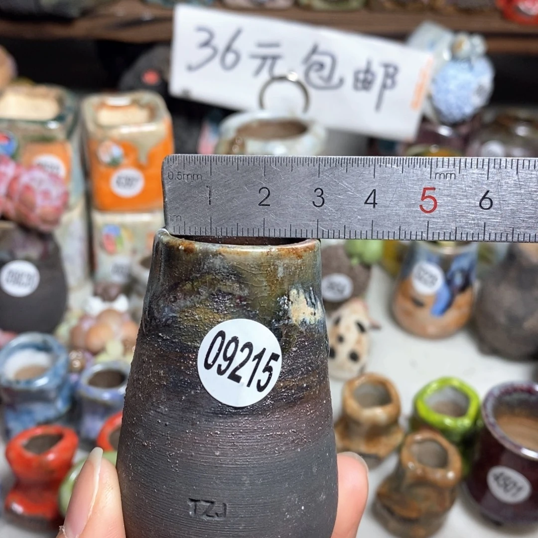花盆拍5送一个小礼物