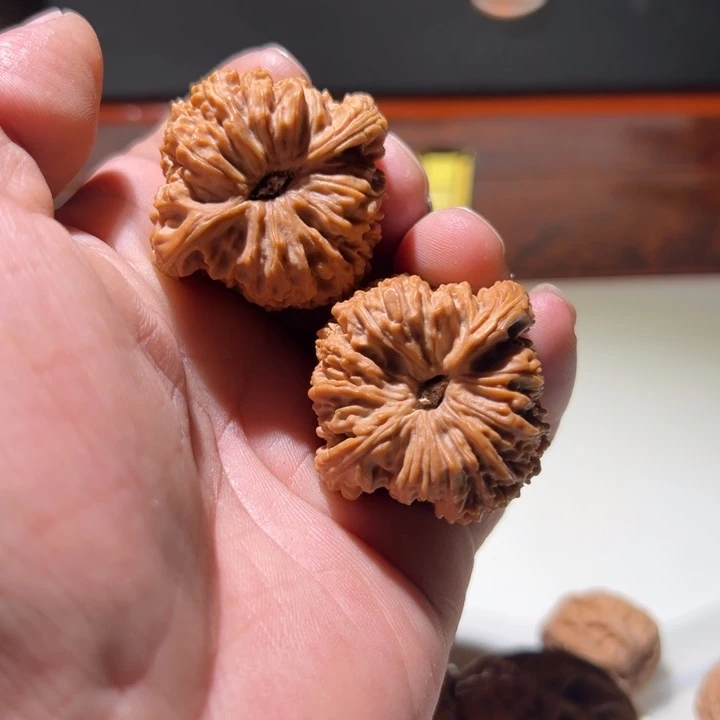 文玩核桃把件阿****ᴳ南将石