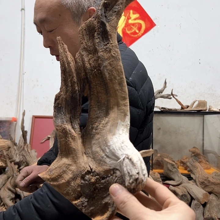 柏木◑****鼾我们都是好孩子呀我