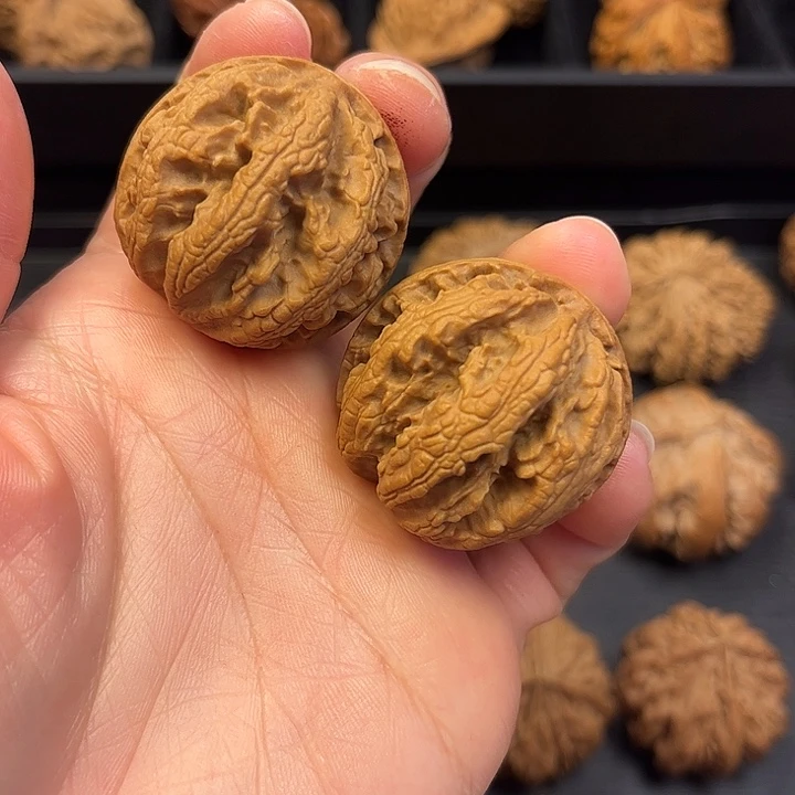 核桃我是张大嘴巴和他