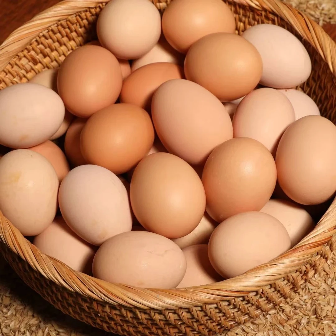 【50个】贵州跑山鸡包谷鸡土鸡蛋现捡现发