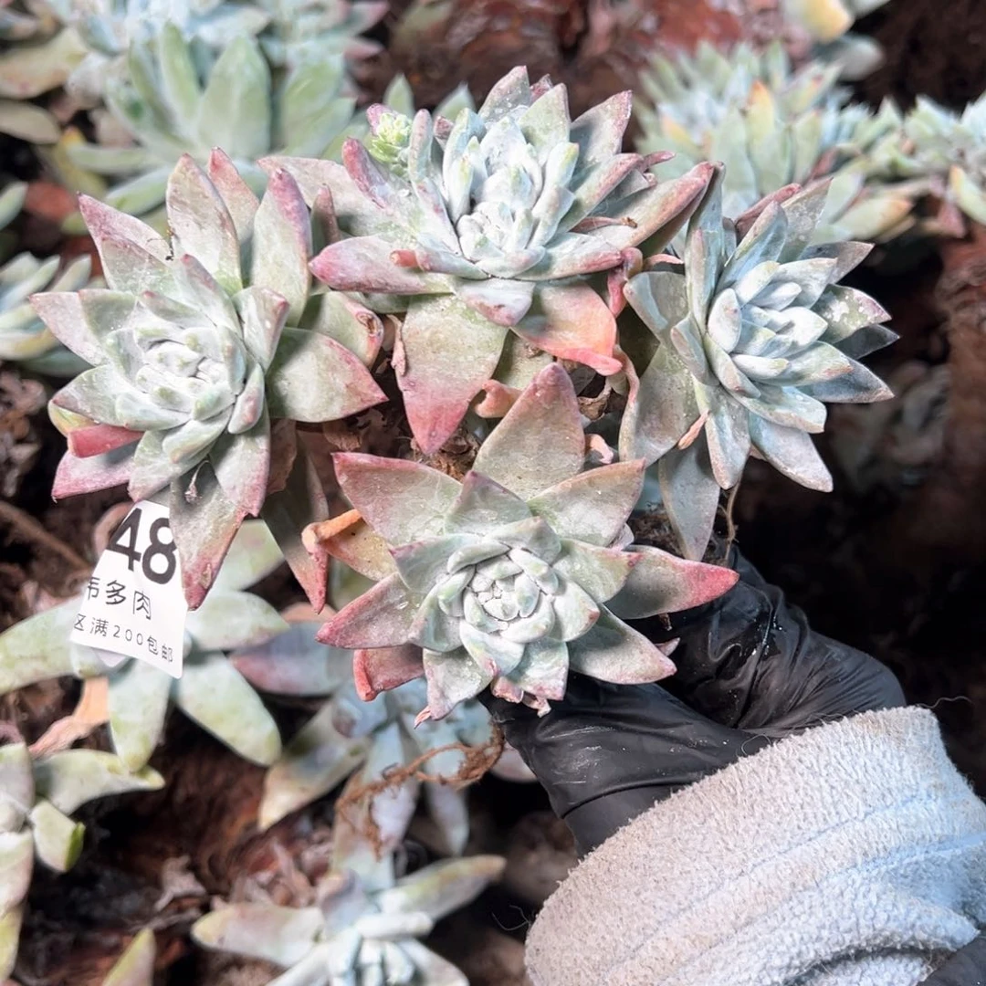 7948哈哈哈哈哈哈哈哈哈哈