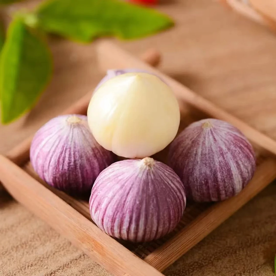 东北开原老城2025年独头蒜鲜蒜嫩蒜（大果30-36mm）