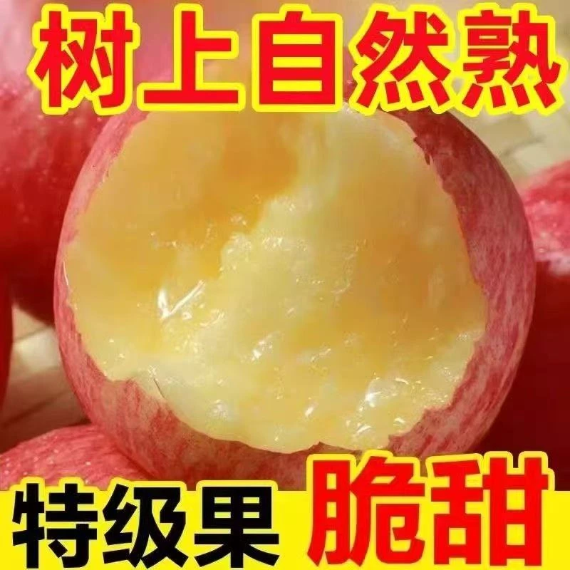 2025山西头茬红富士苹果新鲜当季现摘脆甜多汁丑苹果