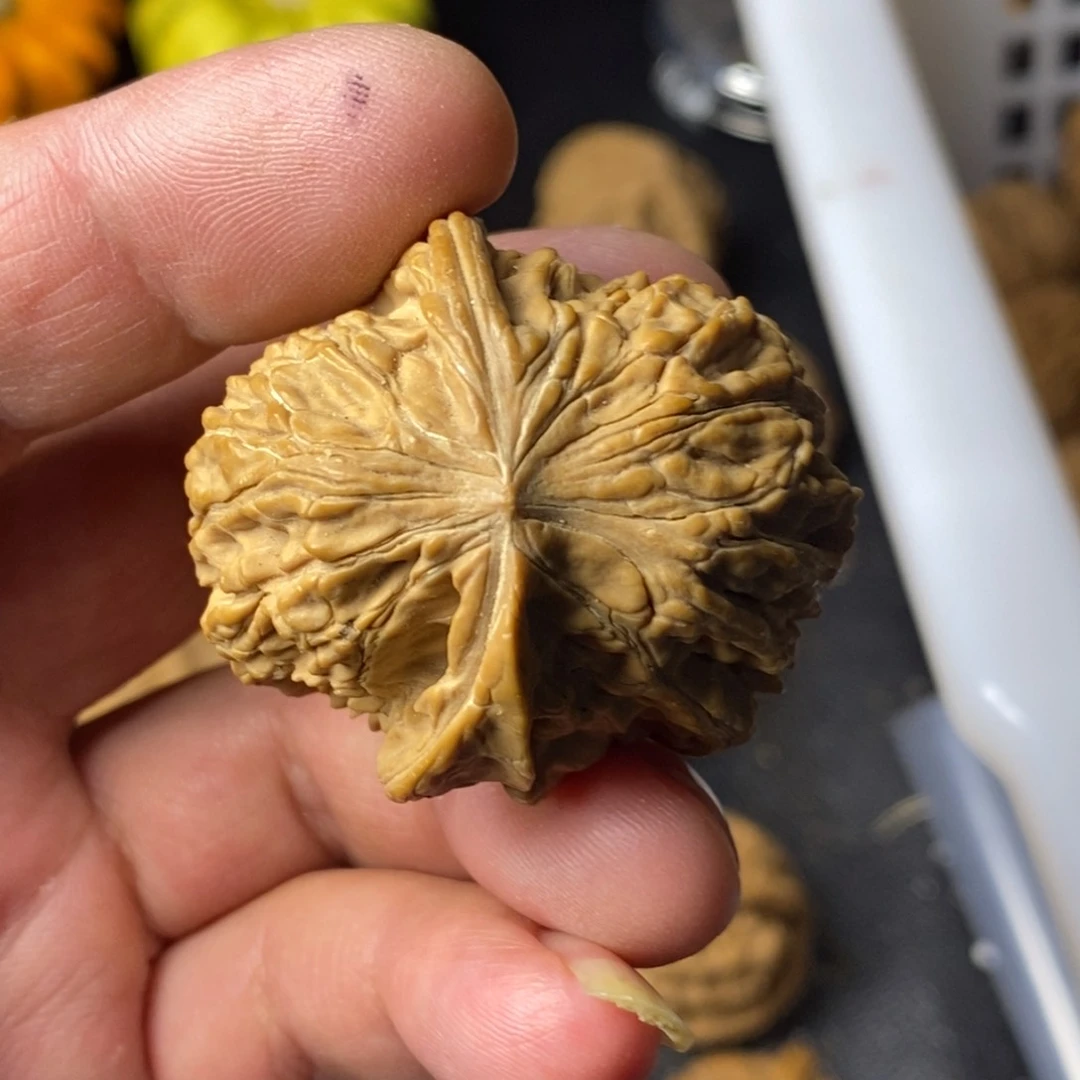 文玩核桃把件善*白狮子