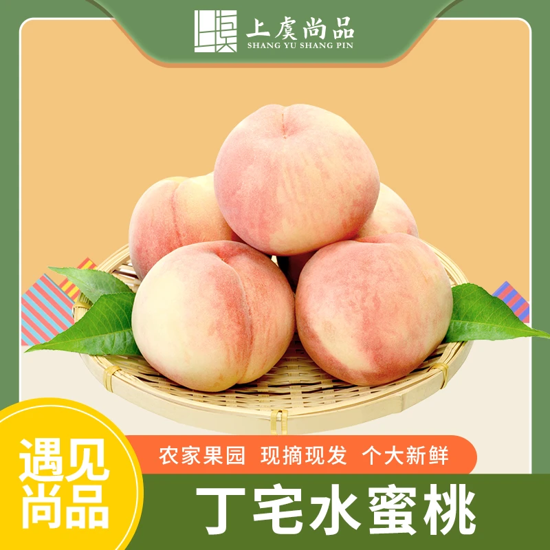 【上虞尚品】丁宅秋水蜜桃12个装带箱5斤