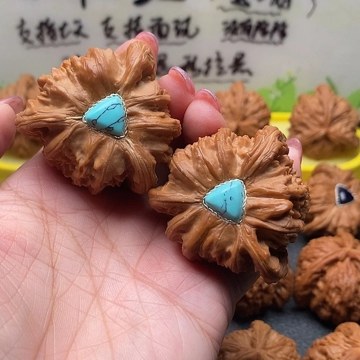 核桃43拼接白狮子