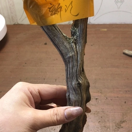 大果紫檀（缅甸花梨）冻**人