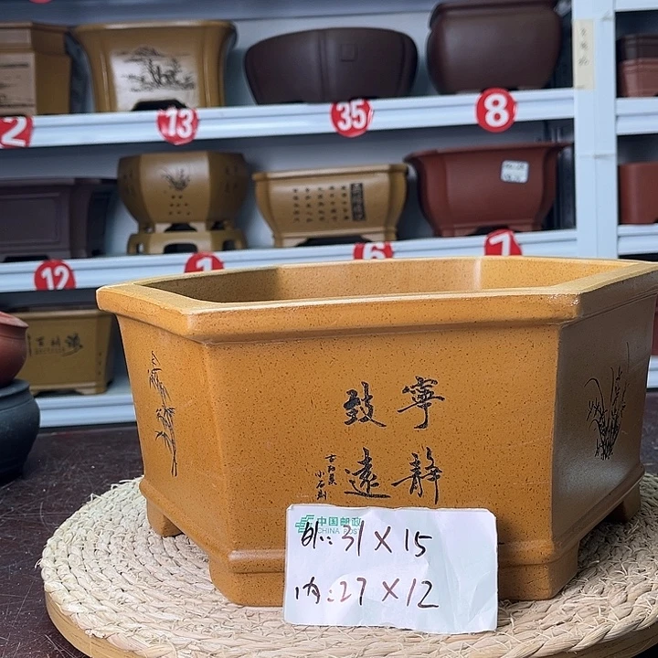 紫砂花盆你在一起