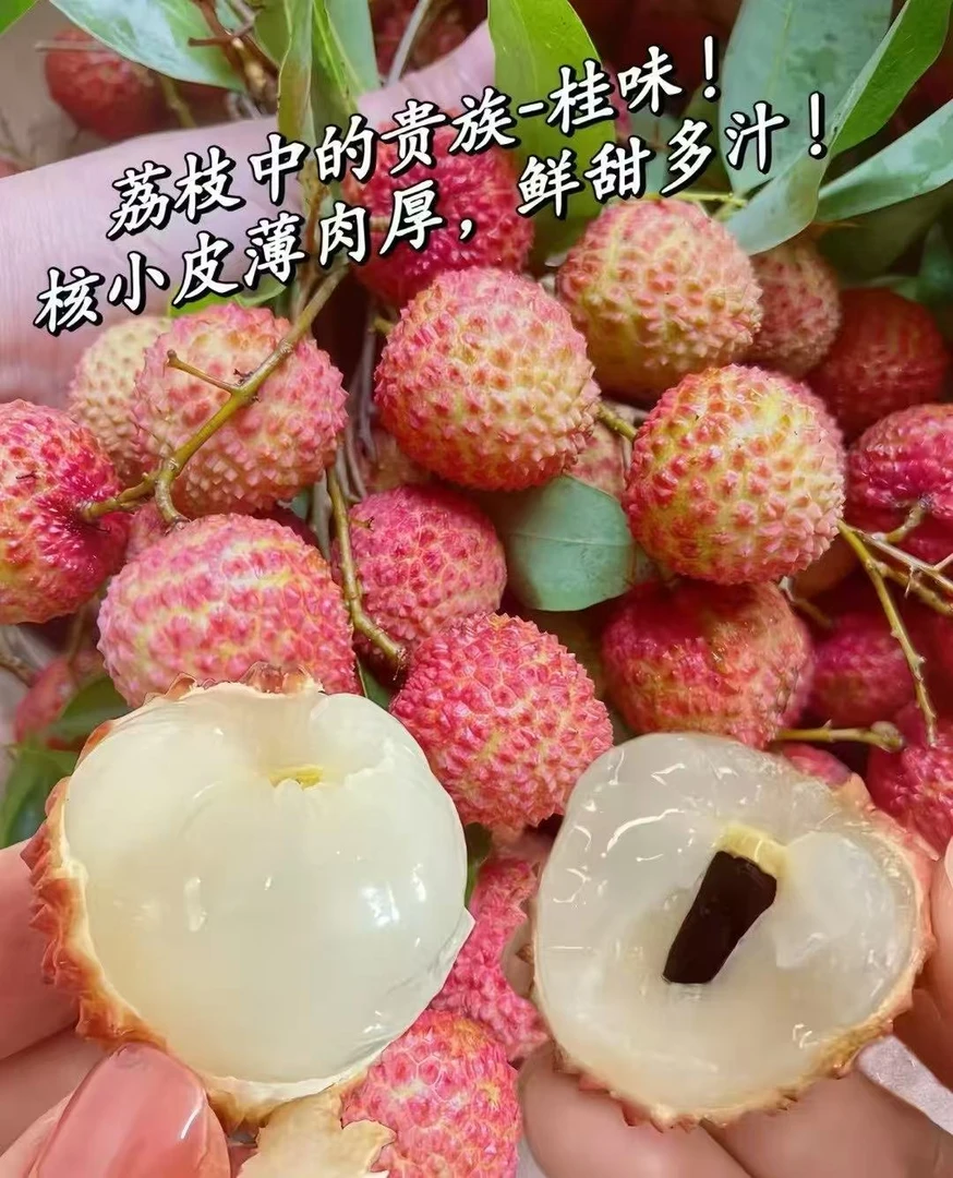 (顺丰空运)镇隆桂味荔枝现摘新鲜核小肉厚，坏了包赔