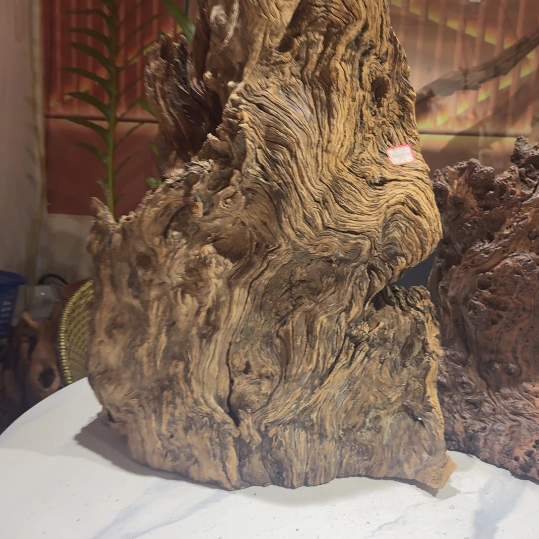 滼***帆香榧木一物一拍鱼缸造景