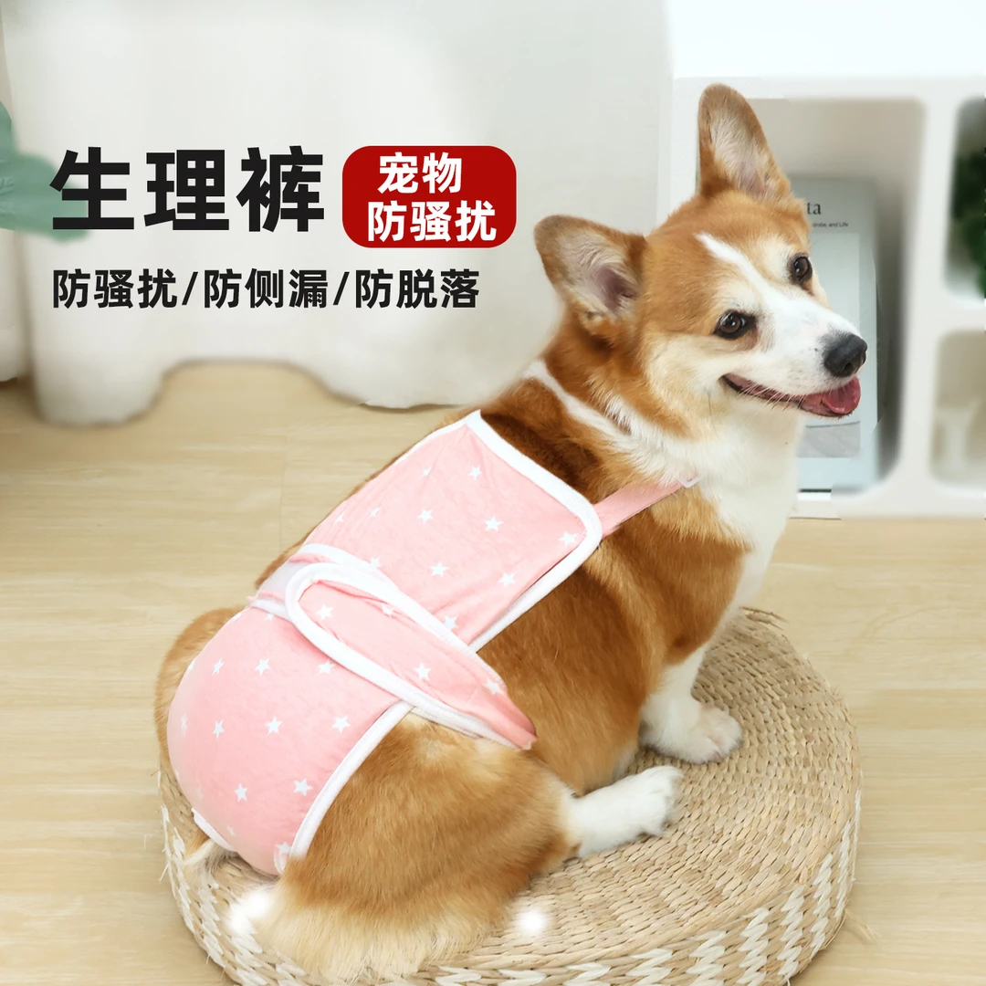 宠物狗狗生理裤母狗薄款连体防交配防脱大姨妈经期裤安全裤卫生巾