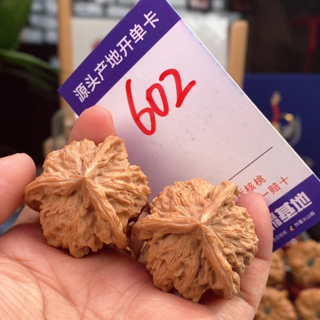 文玩核桃把件37全品天然盘山矮桩奔602号