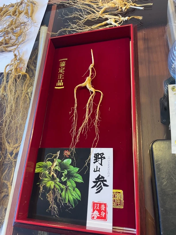 【上古神草】长白山滋补佳品野山参林下参人参煲汤泡酒送礼