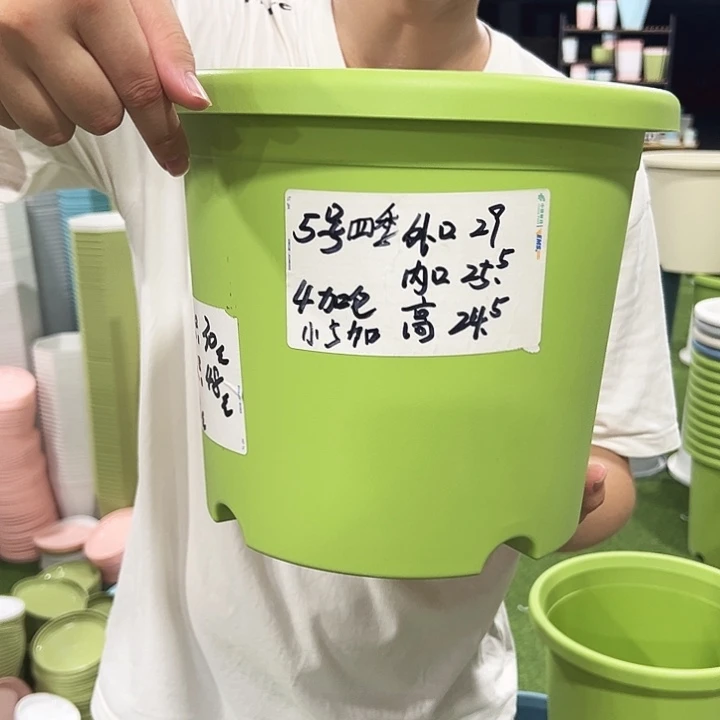 特价5号口29高24.5白色无托6只