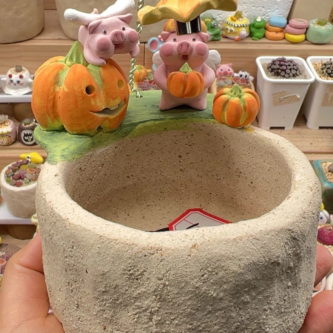 小***狸多肉植物180号种花海