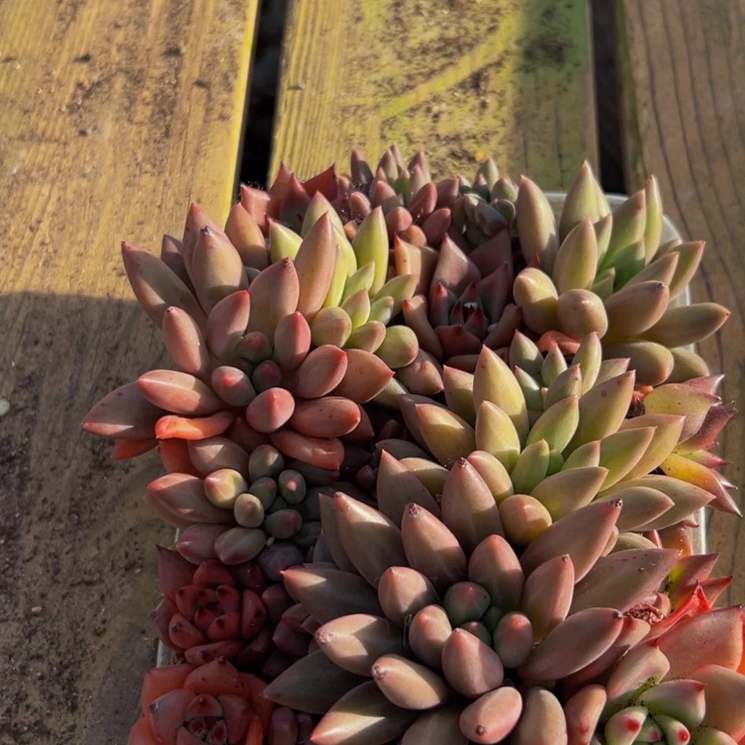 500新的东西惺惺相惜出差