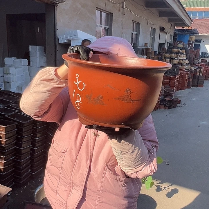 30紫气东来花盆花盆花盆花盆