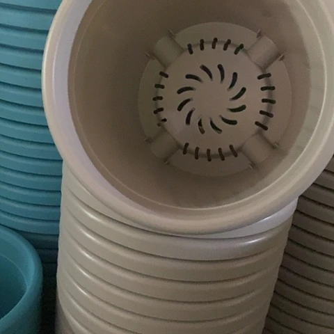 树脂四季4号微瑕灰白无托8个