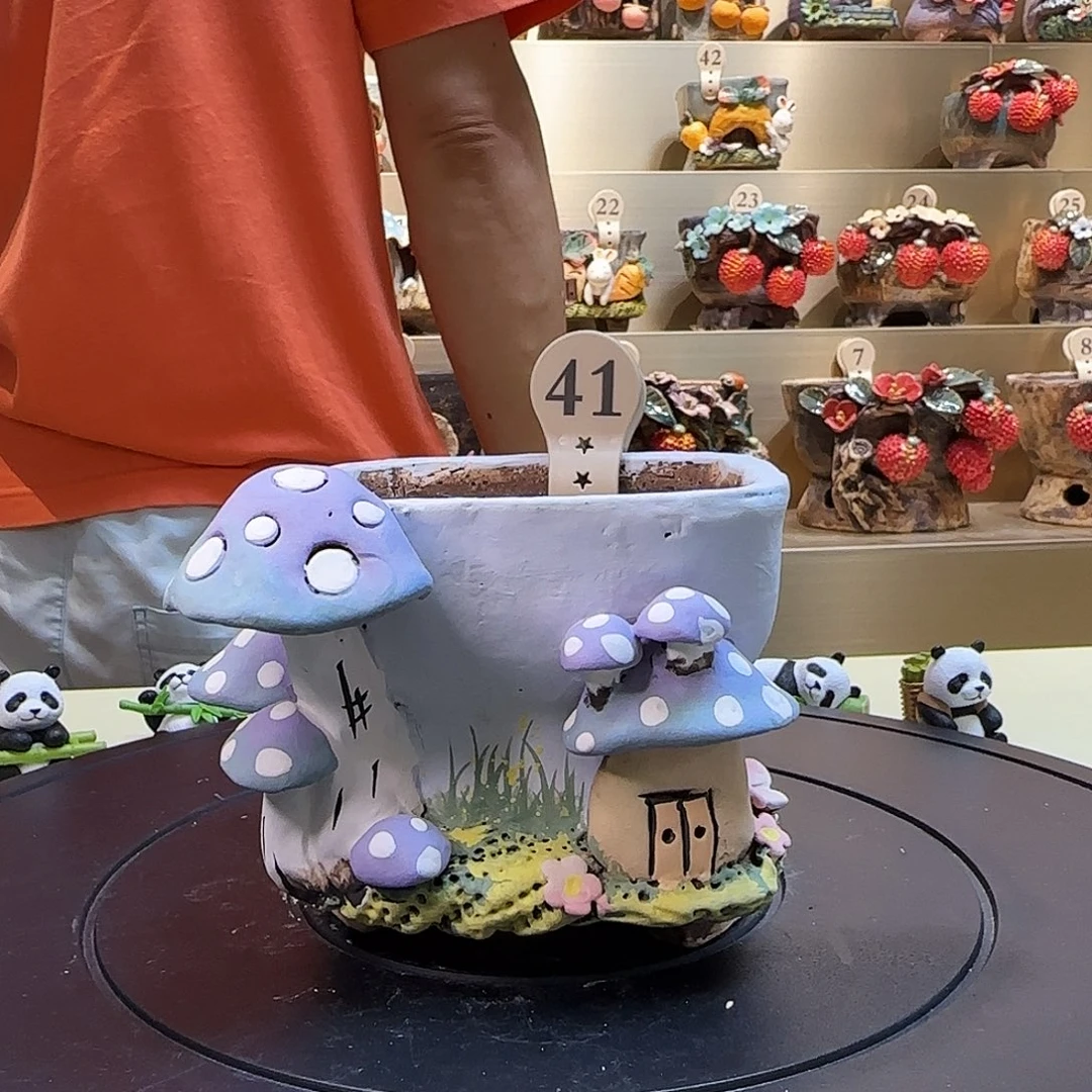 “***”41 【闪购】多肉花盆