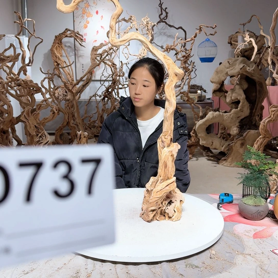 风车木（黑檀木）往**生