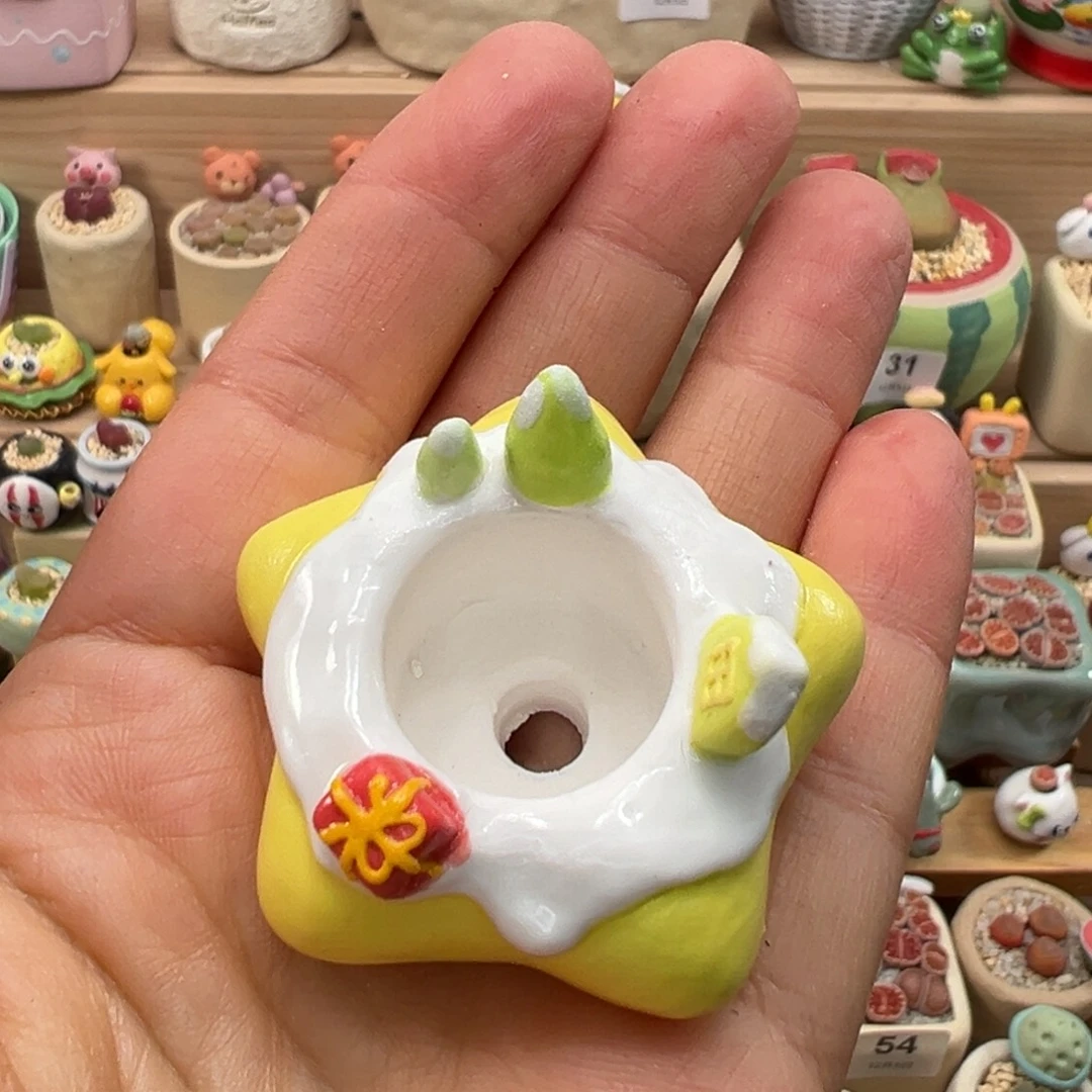 A****多肉植物101号种鸽子蛋