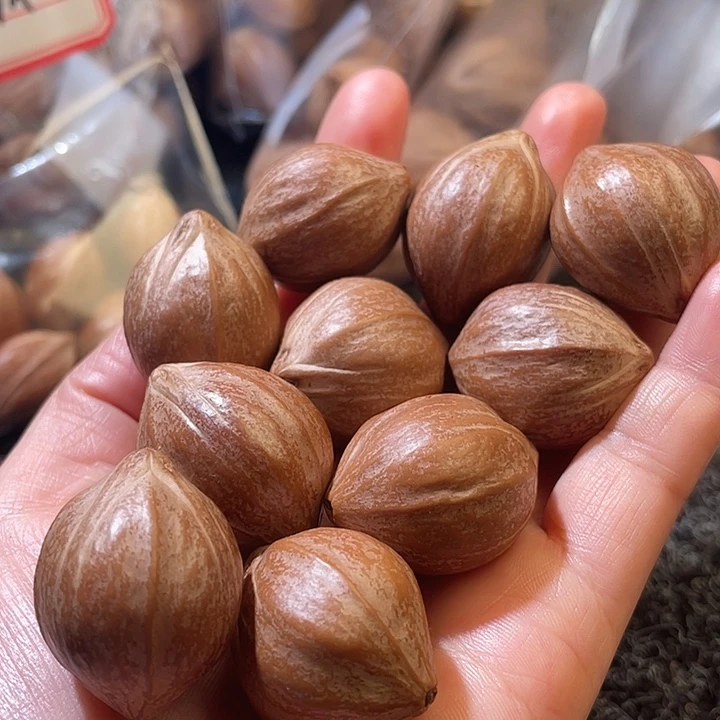 持***明橄榄核吊坠2.5✖️3.0