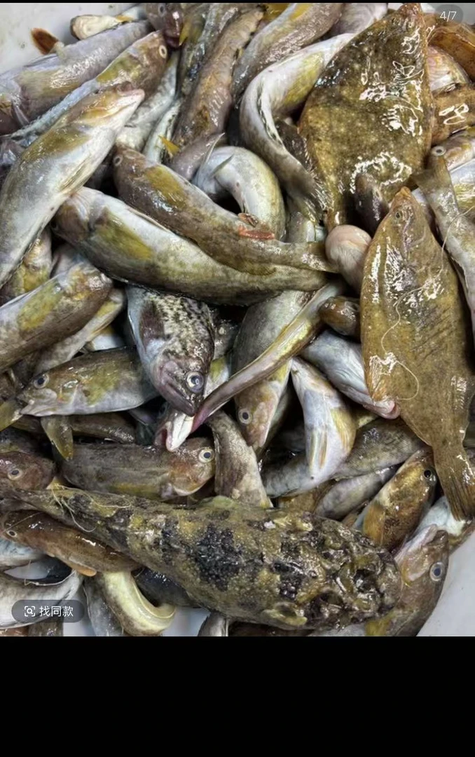 大连发货 杂拌鱼 （顺丰发货）